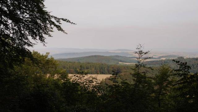 bov_friedwald_burg-plesse_slider_06