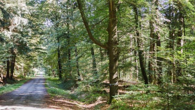 bra_friedwald_bramsche_slider_04