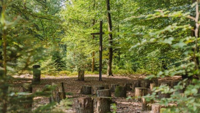 brs_friedwald_bremer-schweiz_slider_02