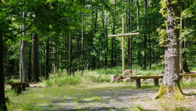 fgn_friedwald_gelnhausen_slider_01