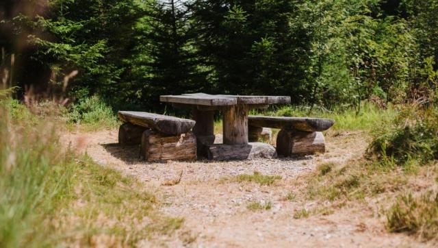 fri_friedwald_friedenweiler_slider_01