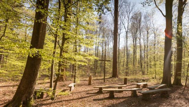 FriedWald Bremervörde – Preise, Karte & Anfahrt