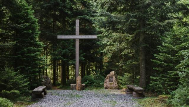 FriedWald Schenkenzell im Schwarzwald – Preise, Karte & Anfahrt