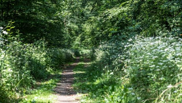 friedwald-uetzer-herrschaft_slider-05