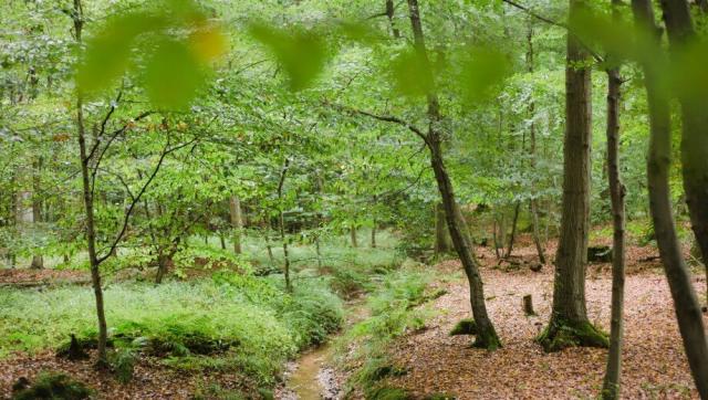 friedwald_lohmar_slider_05