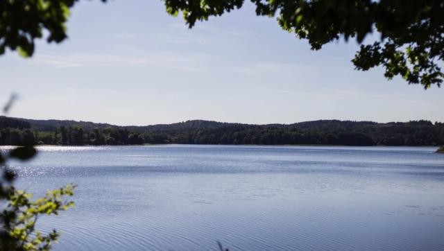 FriedWald Möhnesee bei Dortmund – Preise, Karte & Anfahrt