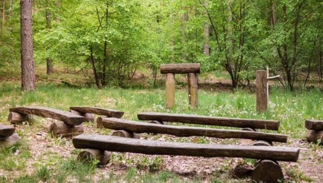 FriedWald Nuthetal-Parforceheide – Preise, Karte & Anfahrt