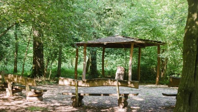 FriedWald Rheinau im Schwarzwald – Preise, Karte und Anfahrt