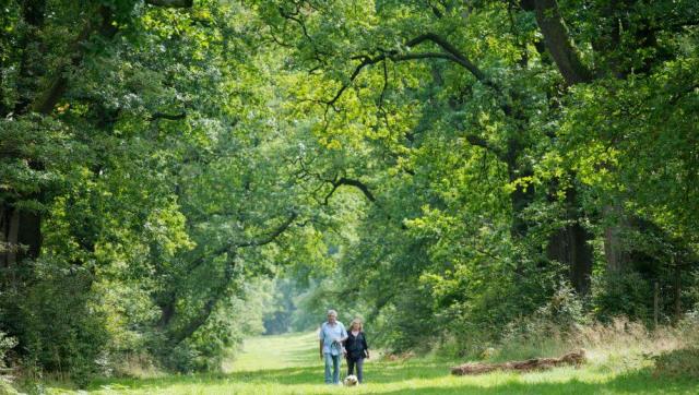 FriedWald Reinhardswald bei Kassel – Preise, Karte & Anfahrt