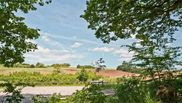 friedwald_sangerhausen_slider_04