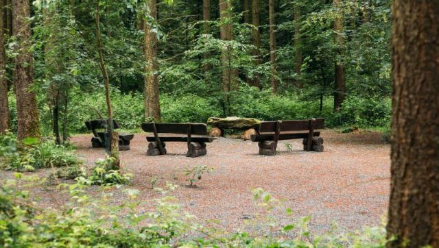 friedwald_weilrod_slider_04