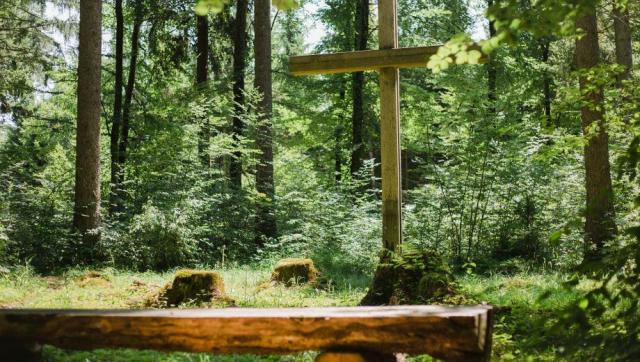 hem_friedwald_hegau_slider_02