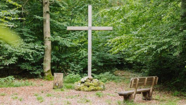 FriedWald Lauterbach bei Frankfurt – Preise, Karte & Anfahrt