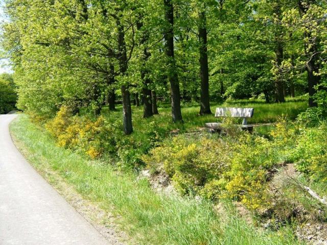 RuheForst Hunsrück – Preise, Karte & Anfahrt