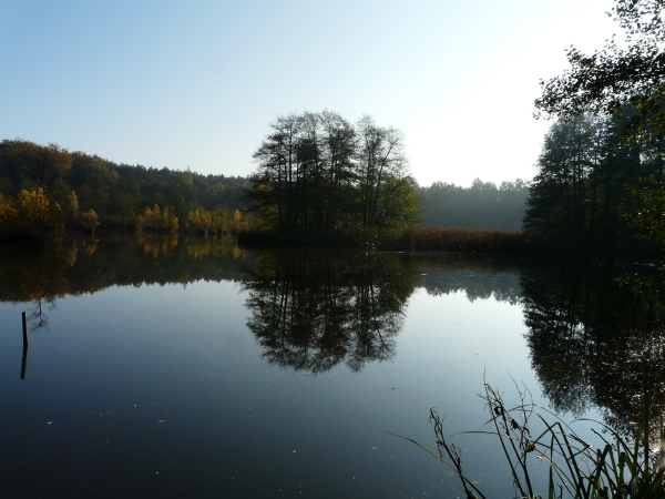 RuheForst Strausberg bei Berlin – Preise, Karte & Anfahrt