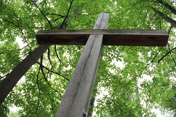 RuheForst Südspessart Stadtprozelten bei Würzburg – Preise, Karte & Anfahrt