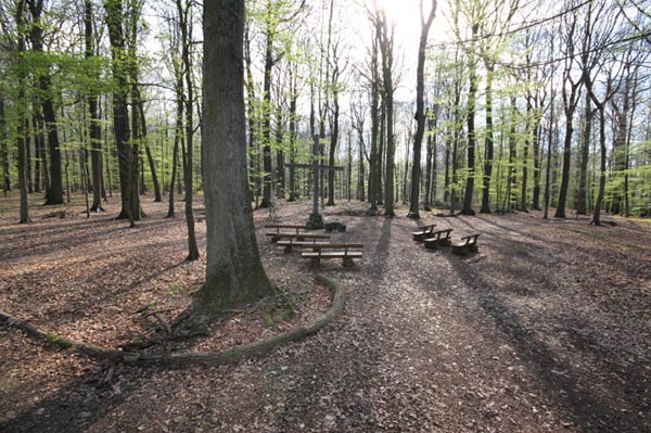 RuheForst Deister bei Hannover – Preise, Karte & Anfahrt