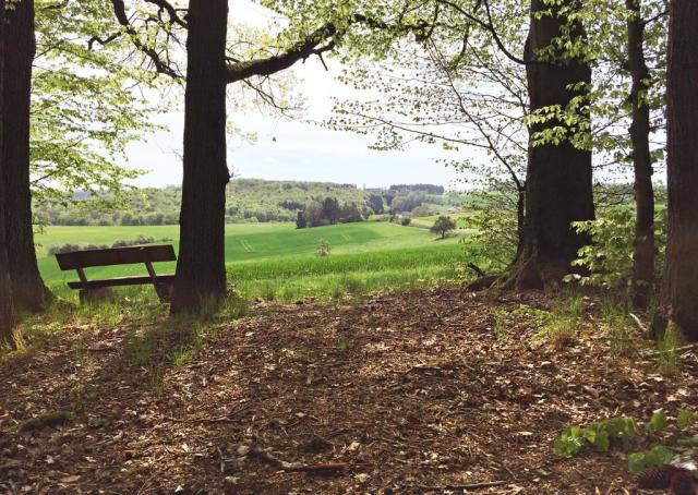RuheForst Lahn-Taunus-Höhe – Preise, Karte & Anfahrt