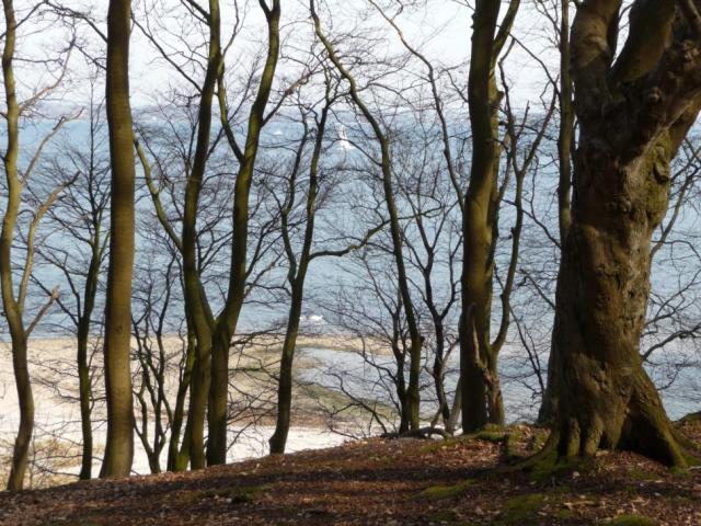 RuheForst Flensburger Förde/Glücksburg – Preise, Karte & Anfahrt