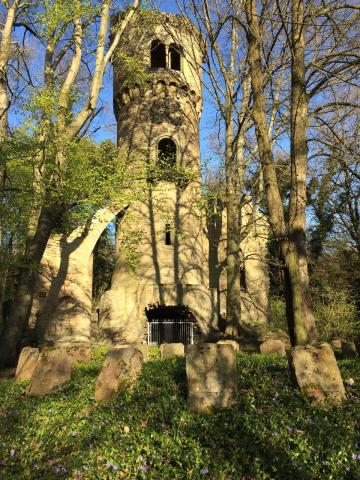 RuheForst Harbker Wald bei Braunschweig – Preise, Karte & Anfahrt