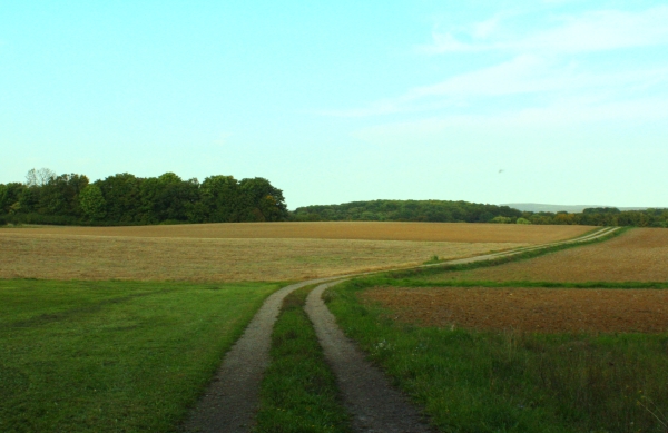 RuheForst Werraland bei Eisenach – Preise, Karte & Anfahrt