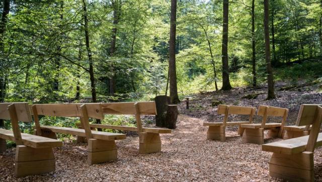 FriedWald Wildenburger Land (Westerwald) – Preise, Karte & Anfahrt