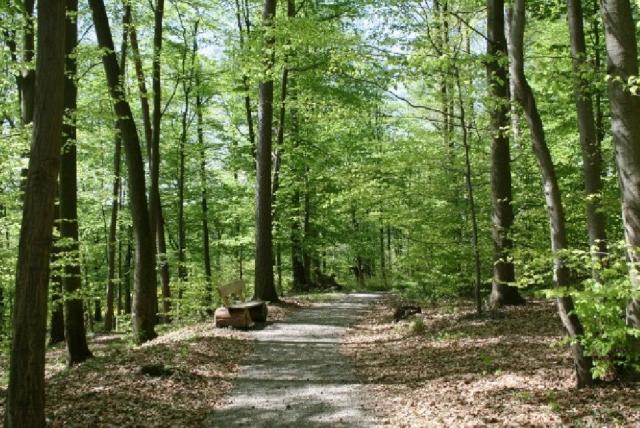 RuheForst Rhön – Preise, Karte & Anfahrt