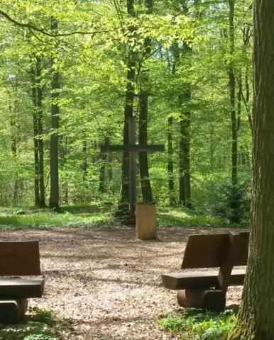 RuheForst Landhege-Rothenburg ob der Tauber/Creglingen – Preise, Karte & Anfahrt