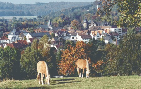 RuheForst Vogelsberg/Laubach bei Gießen – Preise, Karte & Anfahrt