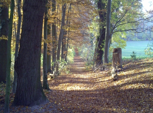 RuheForst Marklohe – Preise, Karte & Anfahrt