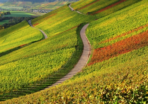 RuheForst Paradies/Obersulm bei Heilbronn – Preise, Karte & Anfahrt