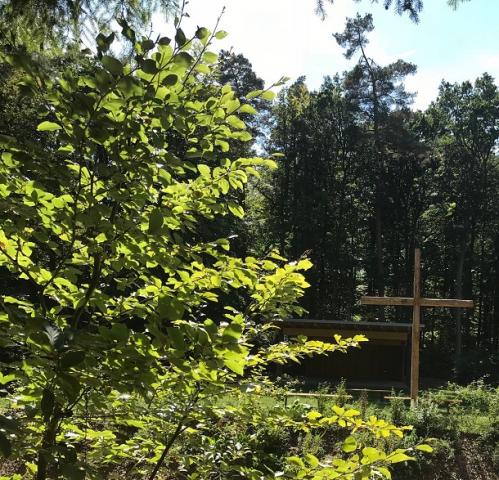 RuheForst Alte Ruh Steinfeld/Mariabuchen bei Würzburg – Preise, Karte & Anfahrt