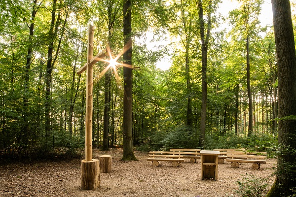 RuheForst Hohenstein bei Mainz – Preise, Karte & Anfahrt