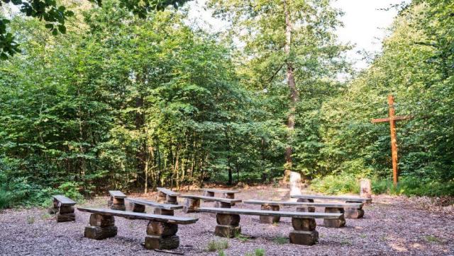 FriedWald Cuxland bei Bremerhaven – Preise, Karte & Anfahrt