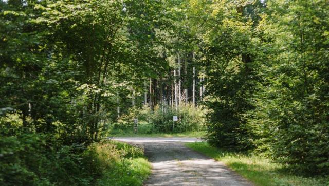 FriedWald Elisenruhe am Bodensee – Preise, Karte & Anfahrt