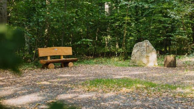 elm_friedwald_elm_slider_02