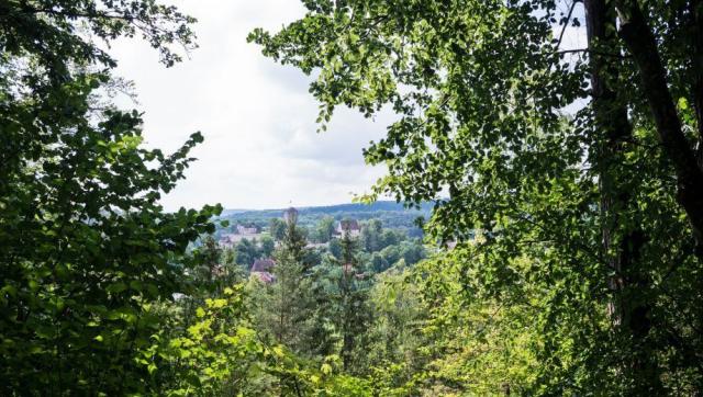FriedWald Altmühltal in Pappenheim – Preise, Karte & Anfahrt