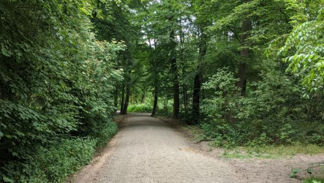 FriedWald Dormagen bei Köln – Preise, Karte & Anfahrt