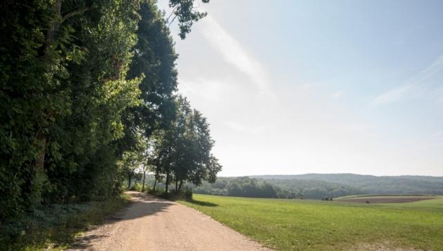 FriedWald Duttenstein bei Augsburg – Preise, Karte & Anfahrt