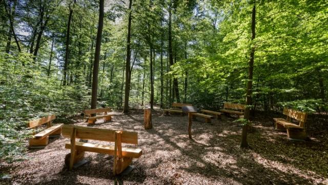 FriedWald Mühlenbecker Land bei Berlin – Preise, Karte & Anfahrt