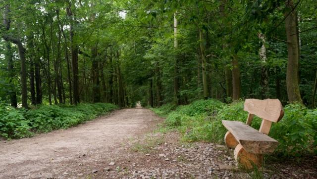FriedWald Waldenburg bei Chemnitz – Preise, Karte & Anfahrt