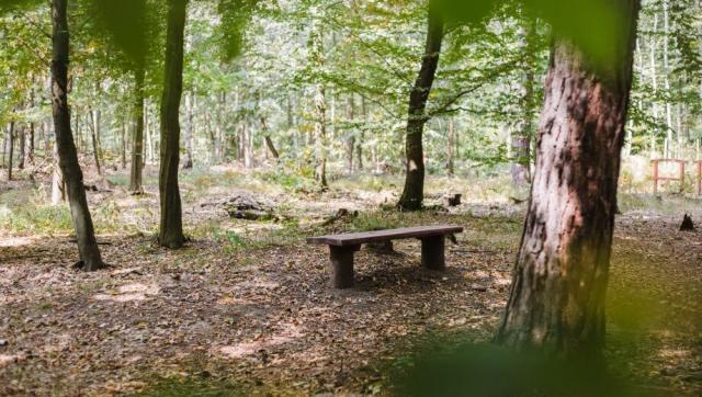 FriedWald Planitzwald bei Leipzig – Preise, Karte & Anfahrt