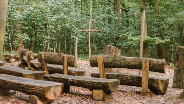 FriedWald Grevesmühlen bei Wismar – Preise, Karte & Anfahrt