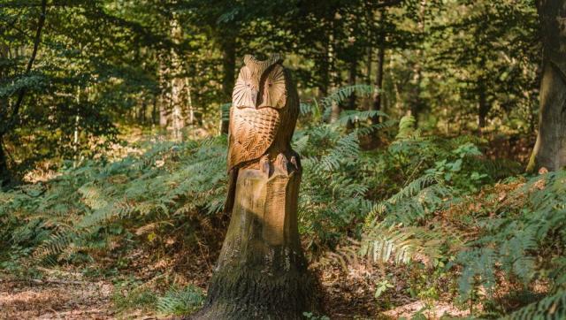 has_friedwald_hasbruch_slider_05