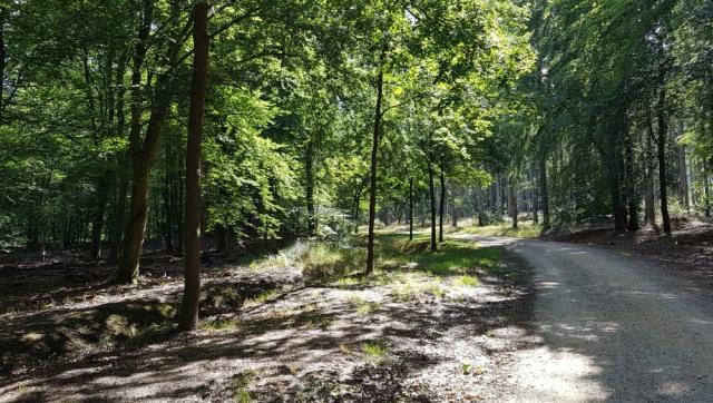 FriedWald Niederkrüchten bei Mönchengladbach – Preise, Karte & Anfahrt