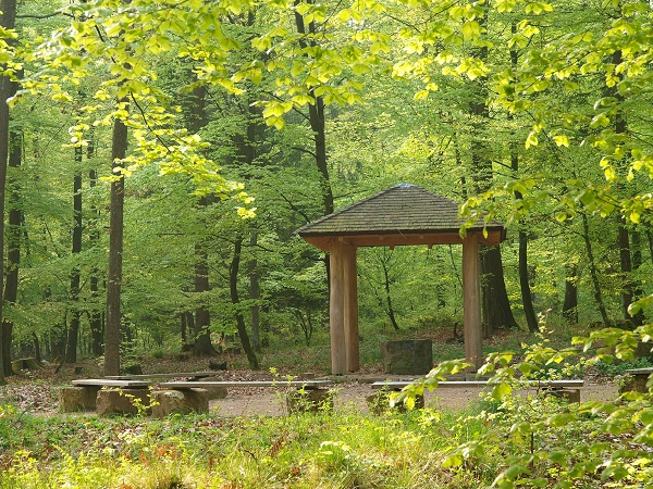 RuheForst Stiftswald Kaufungen bei Kassel – Preise, Karte & Anfahrt