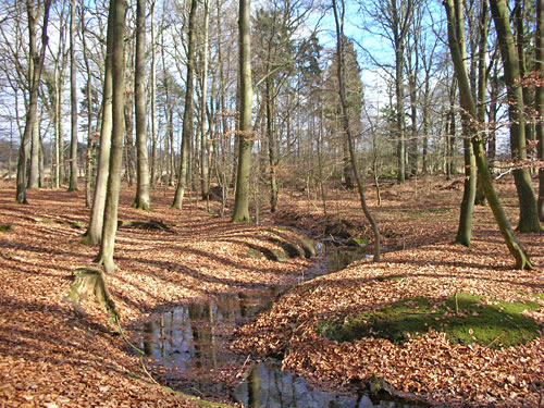 RuheForst Segeberger Heide/Hartenholm – Preise, Karte & Anfahrt