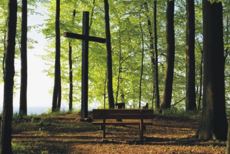 RuheForst Ostseeküste/Brodau – Preise, Karte & Anfahrt