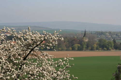 RuheForst Vorharz Klostergut Heiningen bei Braunschweig – Preise, Karte & Anfahrt