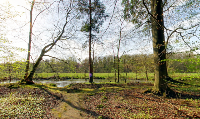 RuheForst Südheide / Feuerschützenbostel – Preise, Karte & Anfahrt